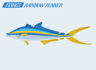 Fish character. Cartoon vector illustration