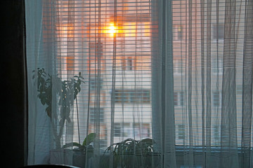 Sunrise is reflected in the glass windows and penetrates into the room for tulle