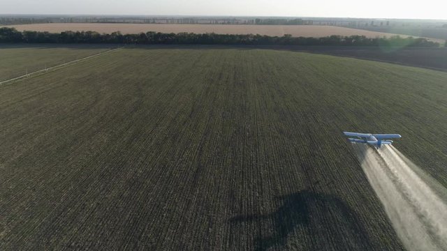 old propeller plane flies over green field with wheat and makes fertilizer spraying into agricultural in aerial view