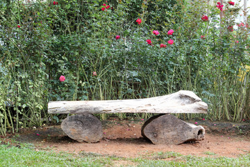 Empty log bench in the Royal Rose Garden, Chiangmai, Thailand.