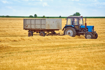 The tractor collects hay on the wheat field, after the combine.
