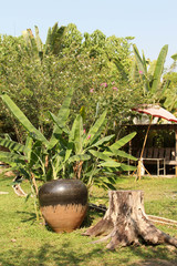 Big clay pot decorated in the garden.