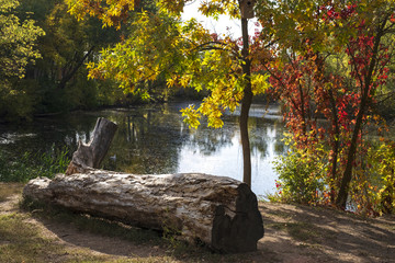 Autumn landscape on the lake. colorful autumn in the park by the lake