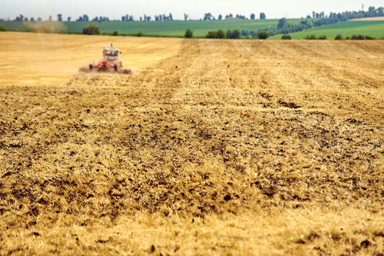 Tractor plows the field after harvesting wheat