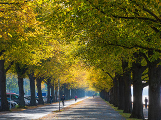 Herbststimmung am Maschsee in Hannover