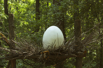 Big Whit Egg In A Nest. Abstract Wildlife  Background.  Egg Of Dinosaur.
