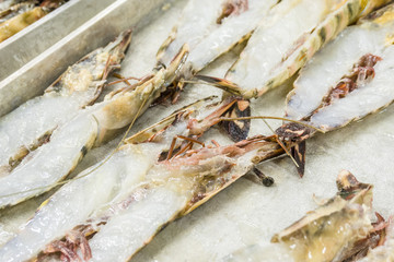 Tiger shrimps cut in half on silver oven-pan