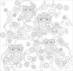 Coloring book for adult and older children. Coloring page with cute owl and floral frame. Outline drawing in zentangle style