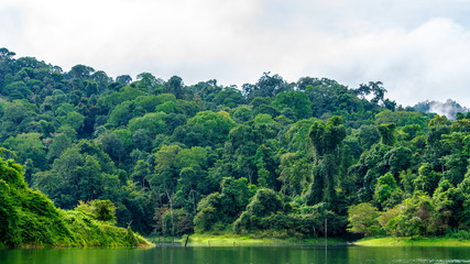 lake in deep rainforest