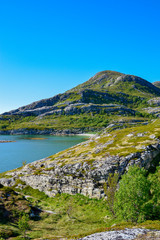 Fototapeta na wymiar Rocky cliff, sea and grass a landscape of Nordic lands, Lofoten islands, Norway.