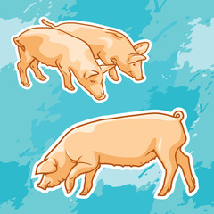 Pig - vector seamless pattern. Cute farm animals on turquoise background. Graphic illustration is a sample of design element and template for wallpaper or fabric.
