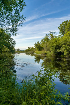wetland channel