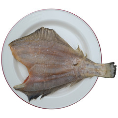 fish kambala isolated on white background