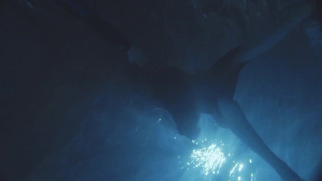 One daving man and one lady dressed in a dress , under the water swimming and holding the hands of each other.