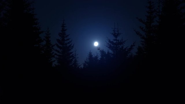 Bright hazy blue moon over dark pine tree forest silhouettes.mov