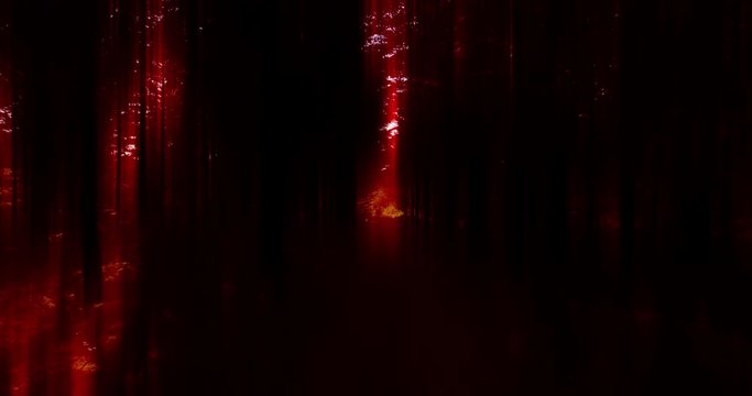 Moving slowly through dark red black creepy forest, abstract horror halloween background.mov