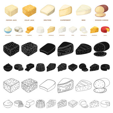 Different kind of cheese cartoon icons in set collection for design.Milk product cheese vector symbol stock web illustration.