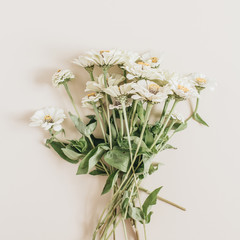 Cynicism flowers bouquet on beige background. Flat lay, top view.