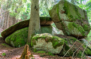 Mystisches Waldviertel - Granitformationen in der Yppser Klamm 