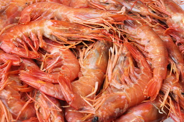 Fresh shrimp for sale on market