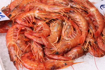Fresh red shrimp for sale on market