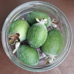 Feijoa fruit in a glass jar