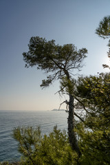 Obraz premium Sentir Litoral am Cap Camarat am Mittelmeer, Buchten, Felsen, Sonne