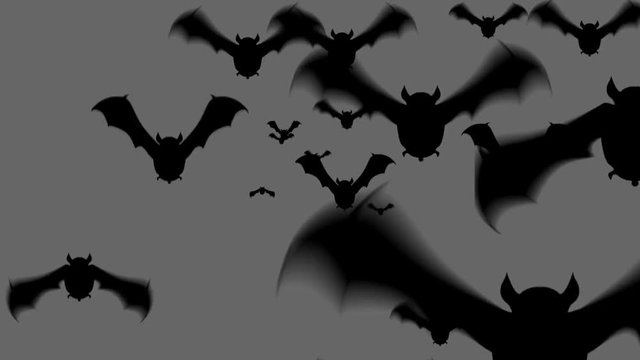 Scary bat animation for halloween on alpha background