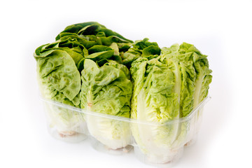 Fresh organic green salad on white background