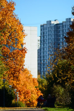 autumn in city