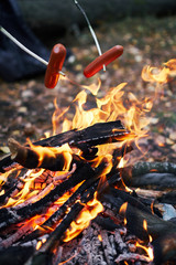 sausages on sticks over a fire