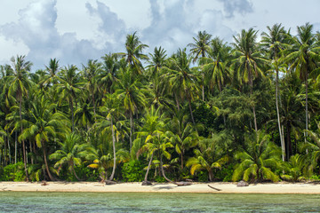 Obraz premium Palm trees on beautiful tropical beach on Koh Kood island in Thailand