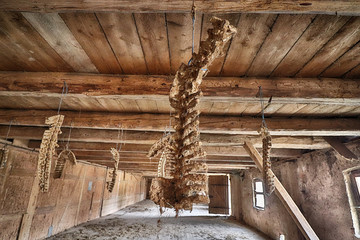 the remains of the bones on the deserted farmland
