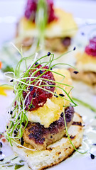 The foie gras with sauce. Shallow dof. © sarymsakov.com