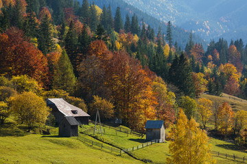 Colorful autumn landscape in the mountain village. Foggy morning in the Carpathian mountains, Ukraine