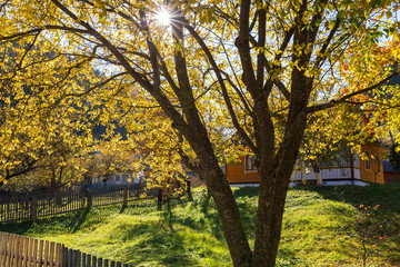 Obraz premium Sunny autumn day in the village in Carpathian mountains, Ukraine