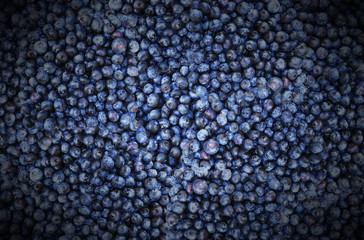 Pile of Blueberries