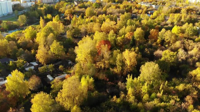 Flight over Autumn forest on outskirts of Moscow in Russia