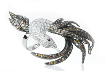 Fototapeta premium luxury jewelry on white background