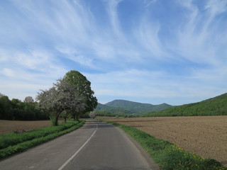 Road and sky with beautiful clouds in East Slovakia