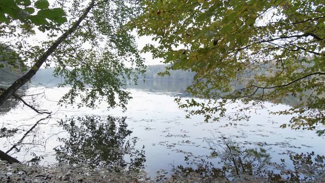 Herbstlandschaft am einsamen See