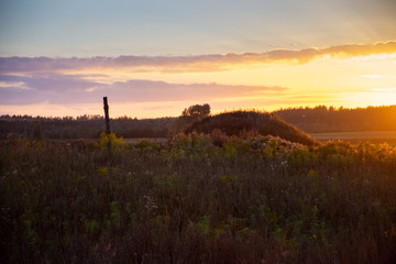 sunset over field