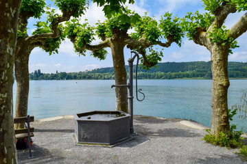 mainau island view through trees over lake constance, Bodensee, fountain in front of lake blue sky...