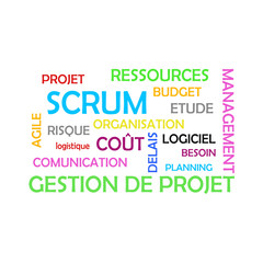  Nuage de mots gestion de projet