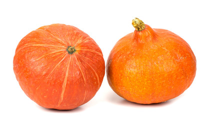 two pumpkins on white background