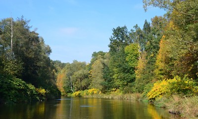 Bunter Herbstwald am Fluss 