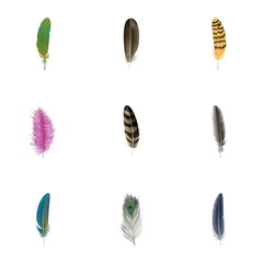 Boho feather icon set. Realistic set of boho feather vector icons for web design isolated on white background