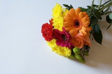 spring bright colourful flowers with white background and writing space