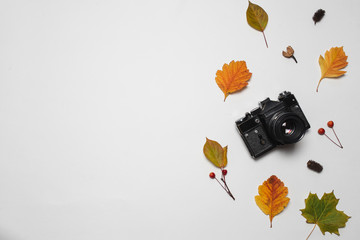 Vintage retro camera and autumn fall leaves with red berries and maple leaf. Flay lay, top view....