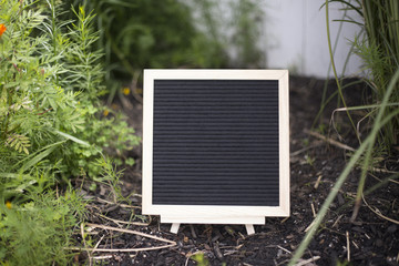 Blank, black felt board for quotes